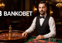 Bankobet The Dog House Megaways RTP Oranı 2026 Bankobet